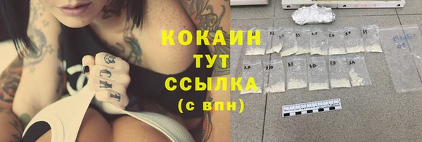 твердый Фурманов